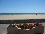 IMG_8429