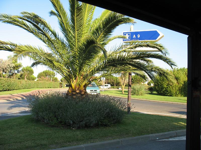 IMG_7632.JPG