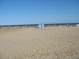 IMG_7484