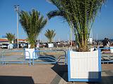 IMG_7538