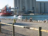 IMG_7557
