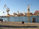 IMG_7564