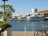 IMG_7577