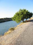 IMG_7595