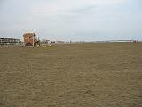 IMG_6654