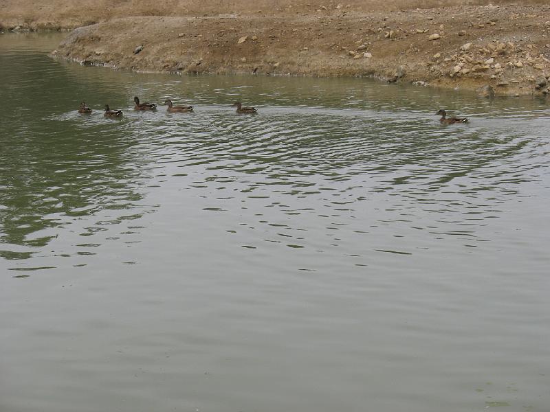 IMG_8163.JPG