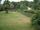 IMG_8059