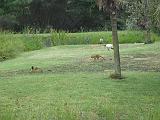 IMG_8061