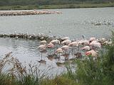 IMG_8091
