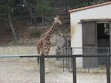 IMG_8099