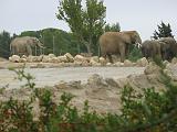 IMG_8126