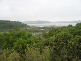 IMG_8141