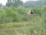 IMG_8142