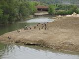 IMG_8153