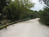IMG_8161