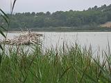 IMG_8168