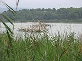 IMG_8169