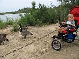IMG_8171