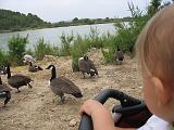 IMG_8176