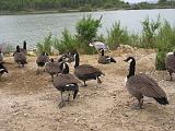 IMG_8177