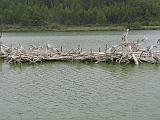 IMG_8178