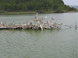 IMG_8179