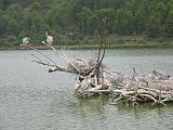 IMG_8180