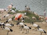 IMG_8184