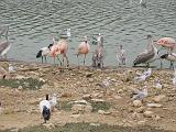 IMG_8185