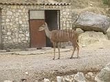 IMG_8191