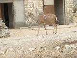 IMG_8192