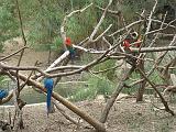 IMG_8193