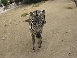 IMG_8200