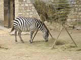 IMG_8205