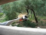 IMG_8217