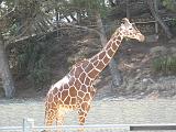 IMG_8232