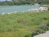 IMG_8234