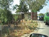 IMG_8249