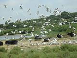 IMG_8260