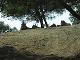 IMG_8263