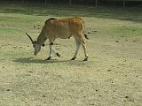 IMG_8286