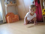IMG_8461