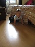 IMG_8505