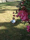 IMG_6886