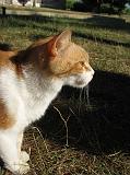 IMG_6940