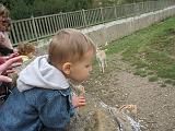 IMG_9070