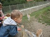 IMG_9071
