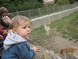 IMG_9073