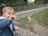 IMG_9074