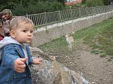 IMG_9076